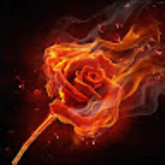 trinityrose274